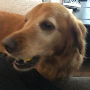 Meet your Posher, Jamie